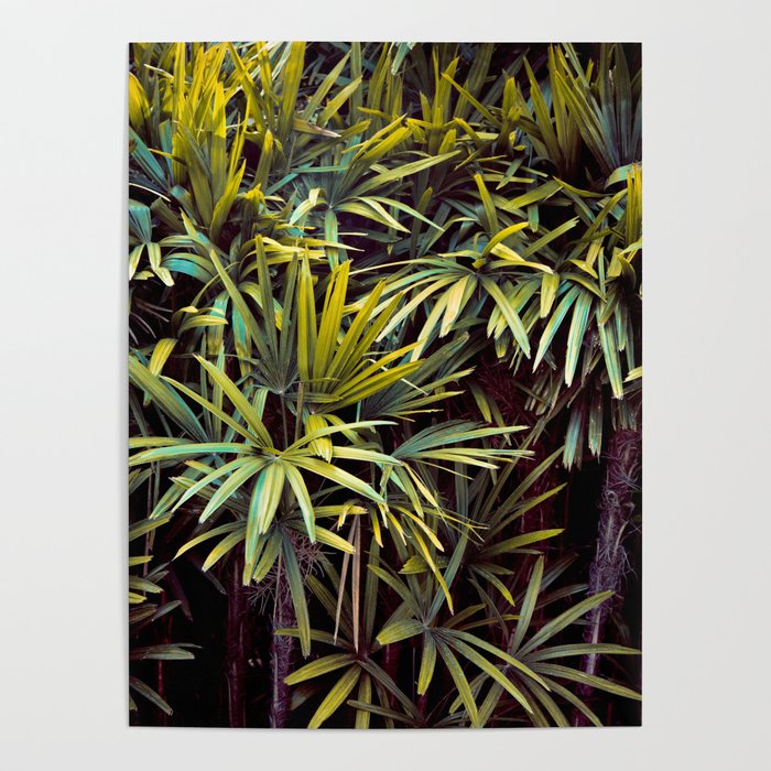Neon Jungle - Tropical Nature Photography Poster Gallery Image 4
