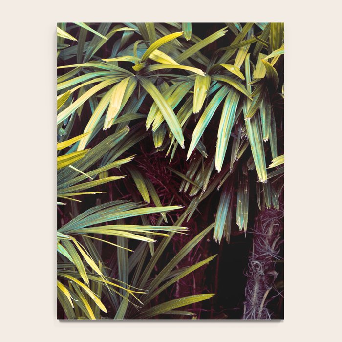 Neon Jungle - Tropical Nature Photography Notebook Gallery Image 4