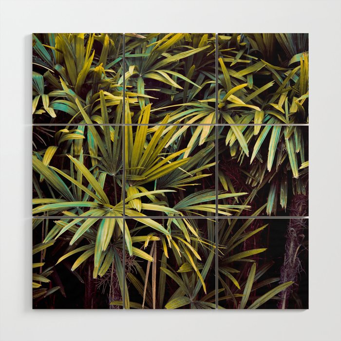Neon Jungle - Tropical Nature Photography Wood Wall Art Gallery Image 1