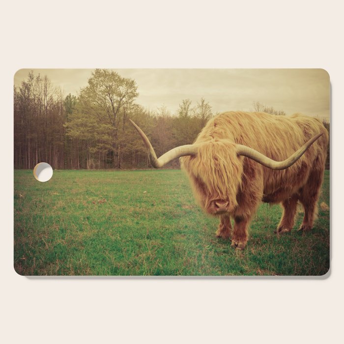 Scottish Highland Steer - regular version Cutting Board Gallery Image 1