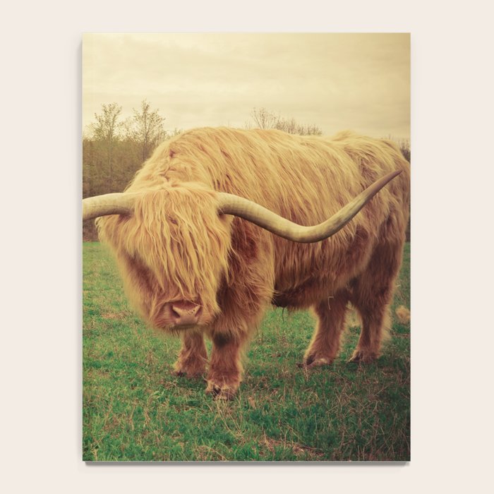 Scottish Highland Steer - regular version Notebook Gallery Image 4