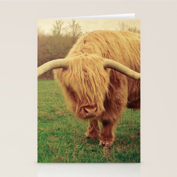 Scottish Highland Steer - regular version Stationery Card Gallery Image 2