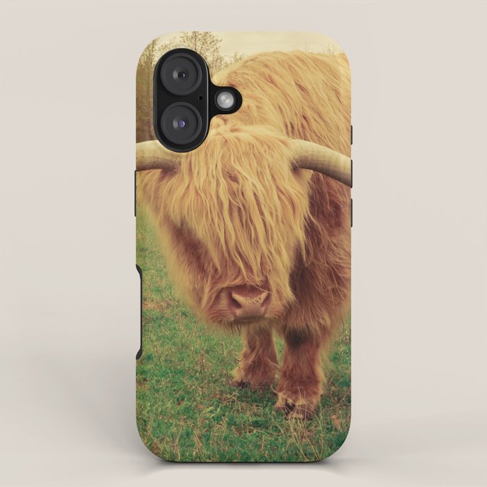 Scottish Highland Steer - regular version iPhone Case Gallery Image 1