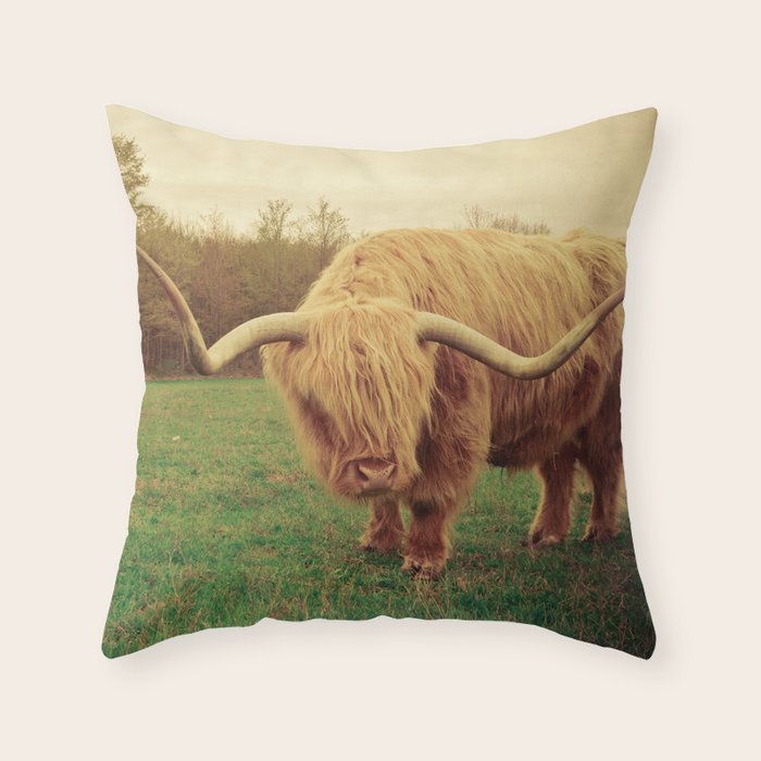 Scottish Highland Steer - regular version Throw Pillow Gallery Image 6