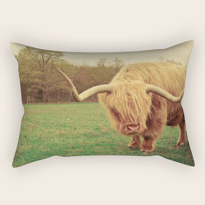 Scottish Highland Steer - regular version Rectangular Pillow Gallery Image 1