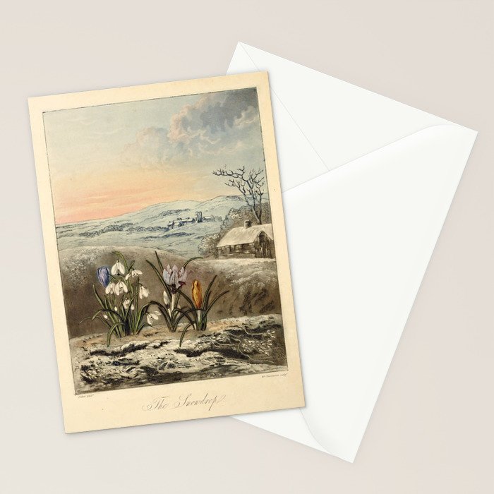 Snowdrop from "The Temple of Flora," 1812 (benefitting The Nature Conservancy) Stationery Card Gallery Image 2
