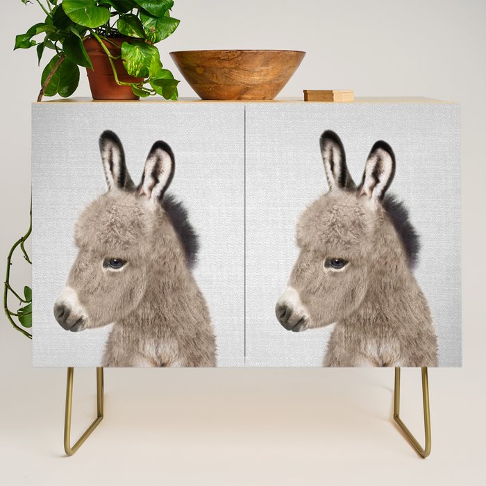 Donkey - Colorful Credenza Gallery Image 1