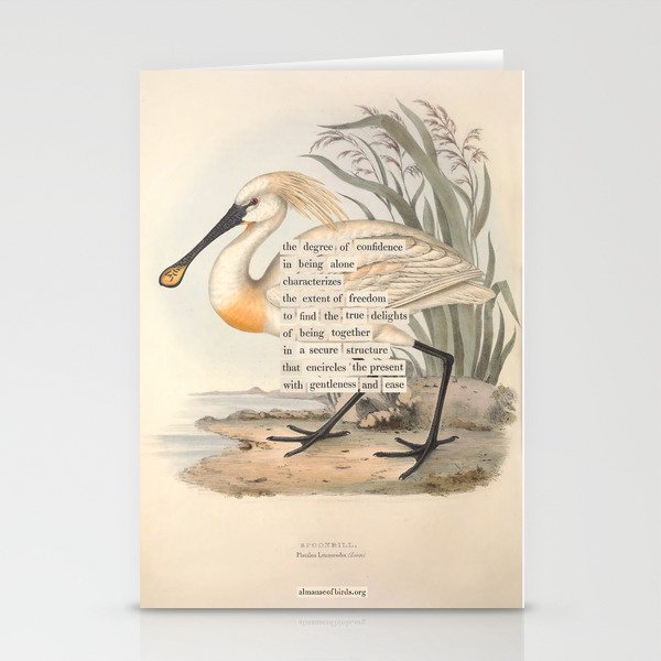 Bird Divinations: Spoonbill (about: almanacofbirds.org) Stationery Card Gallery Image 1