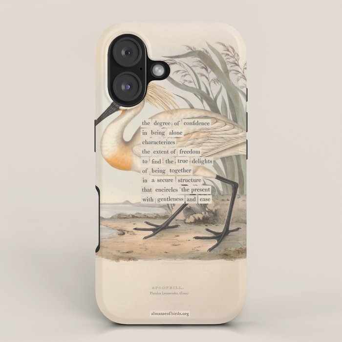 Bird Divinations: Spoonbill (about: almanacofbirds.org) iPhone Case Gallery Image 1