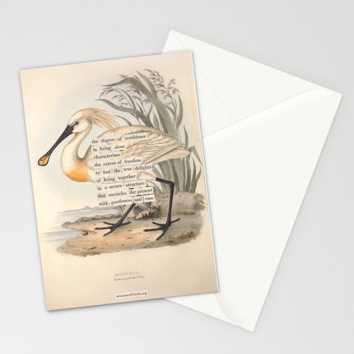 Bird Divinations: Spoonbill (about: almanacofbirds.org) Stationery Card Gallery Image 2
