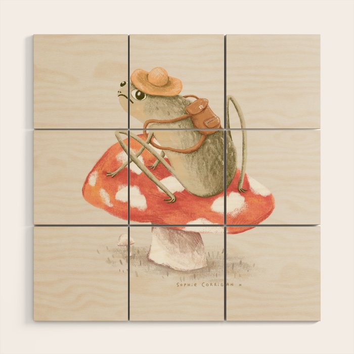 Awkward Toad Ready for Adventure Wood Wall Art Gallery Image 1