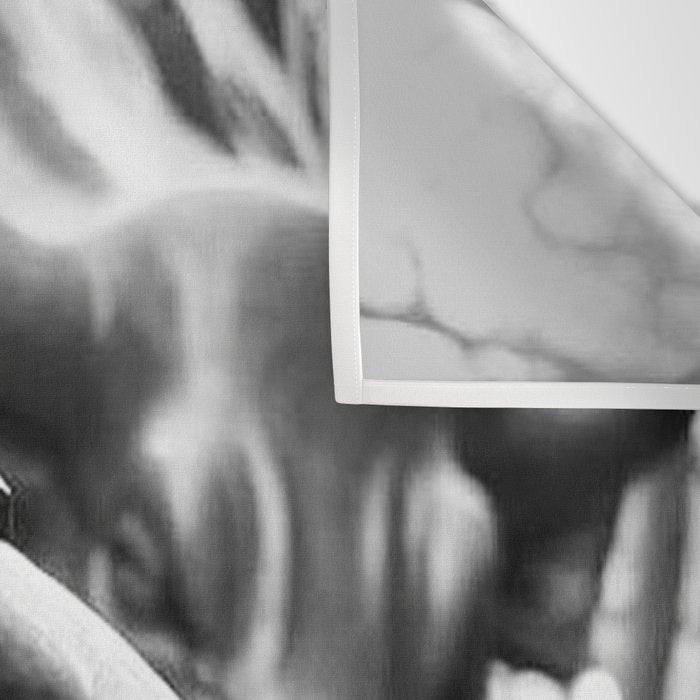 Fearless Girl facing down the Charging Bull statue of Wall Street black and white photography Wall Tapestry Gallery Image 3