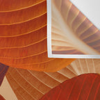 Leaves in Terracotta Color #decor #society6 #buyart Wall Tapestry Gallery Image 3