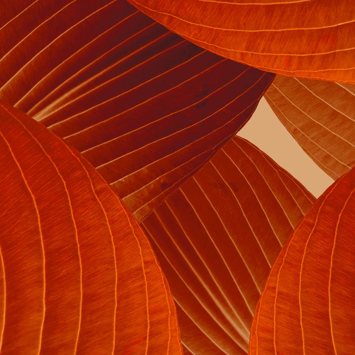 Leaves in Terracotta Color #decor #society6 #buyart Coffee Mug Gallery Image 2