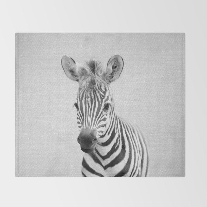 Baby Zebra - Black & White Throw Blanket Gallery Image 2