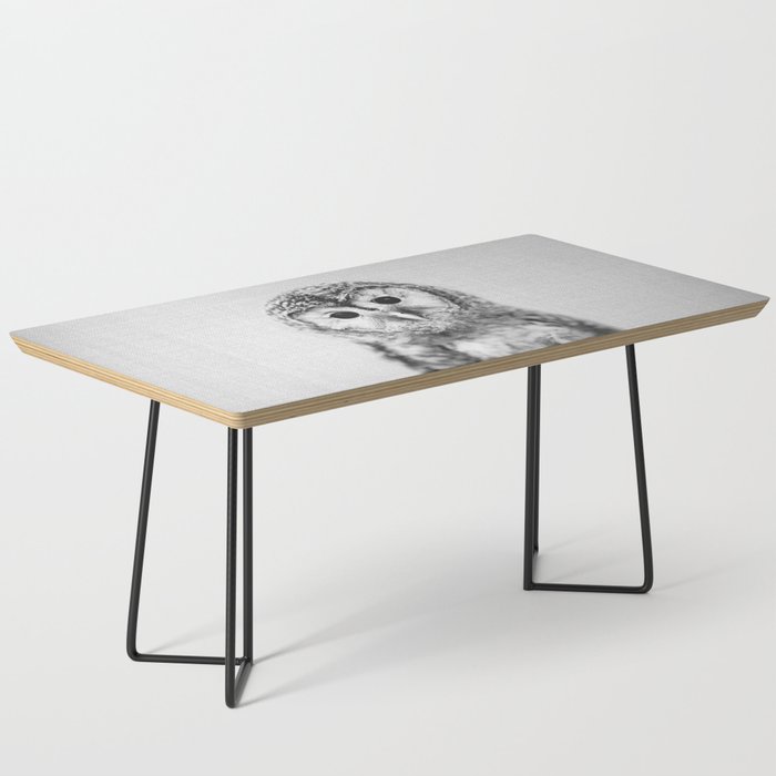 Baby Owl - Black & White Coffee Table Gallery Image 1