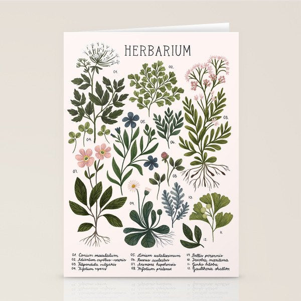 Herbarium ~ vintage inspired botanical art print ~ white Stationery Card Gallery Image 1