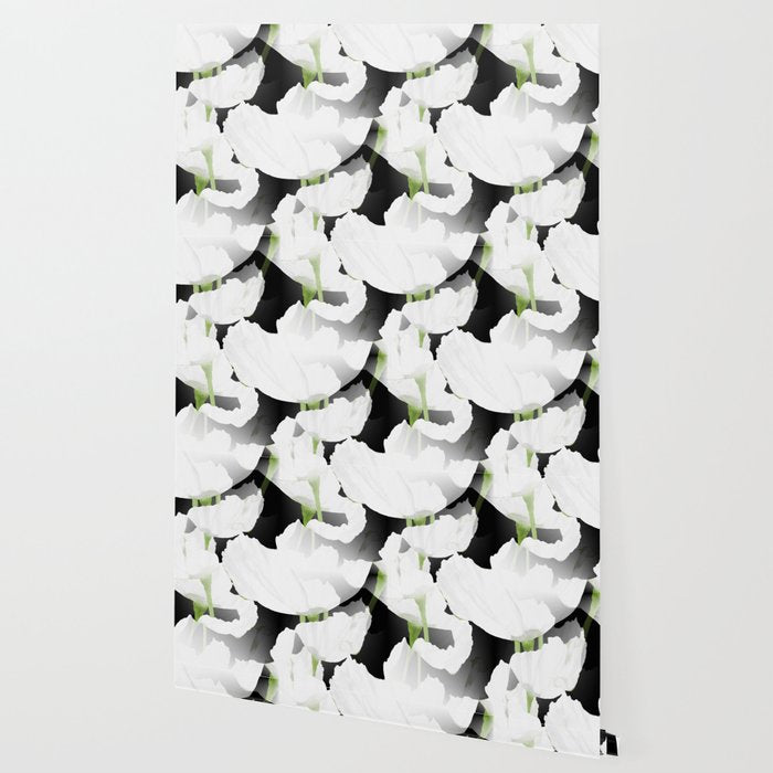 Large White Poppies on Black Background #decor #society6 #buyart Wallpaper Gallery Image 2