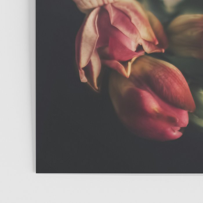 Flower Photography - Mixed Floral Bouquet - Pink Yellow Flowers - Elegant Dark Dramatic Floral print Poster Gallery Image 3