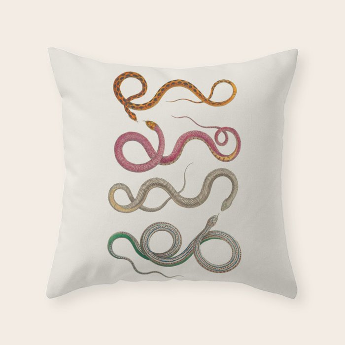 Albertus Seba Snakes Illustration Leopard Snake  Throw Pillow Gallery Image 1