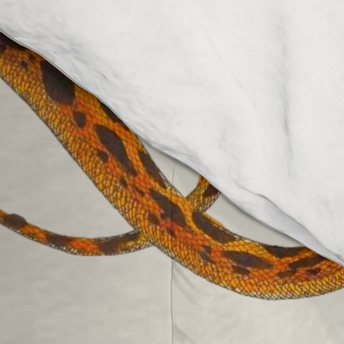 Albertus Seba Snakes Illustration Leopard Snake  Comforter Gallery Image 4