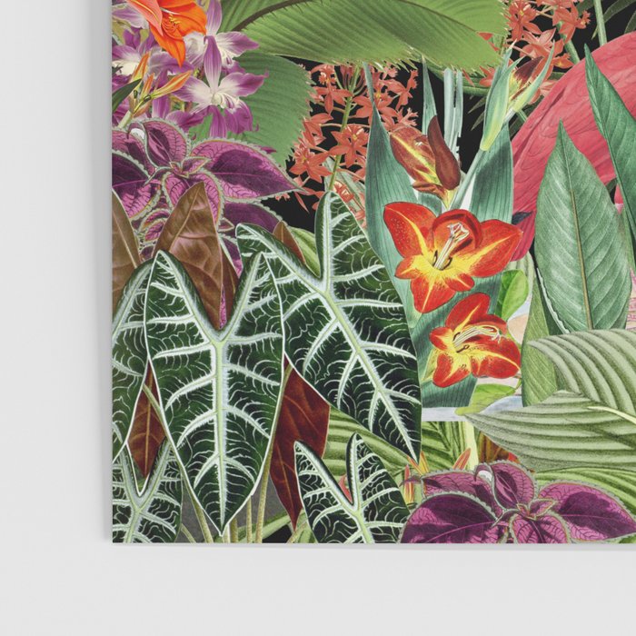 Tropical Eden Jungle on Black Vintage Print Poster Gallery Image 3