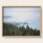 Pacific Northwest Forest Fog - Nature Photography Serving Tray Gallery Image 1