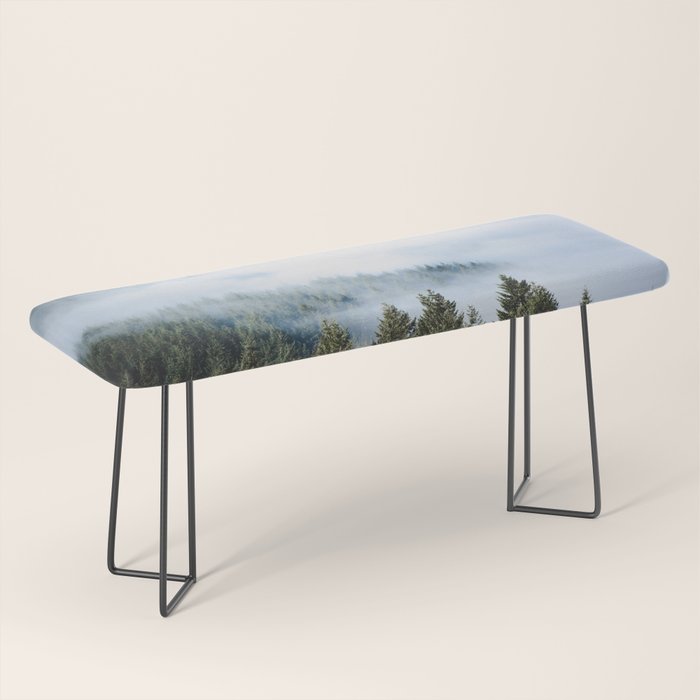 Pacific Northwest Forest Fog - Nature Photography Bench Gallery Image 1