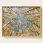 A Walk Among Aspens II Serving Tray Gallery Image 1