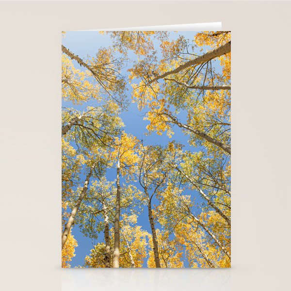 A Walk Among Aspens II Stationery Card Gallery Image 2