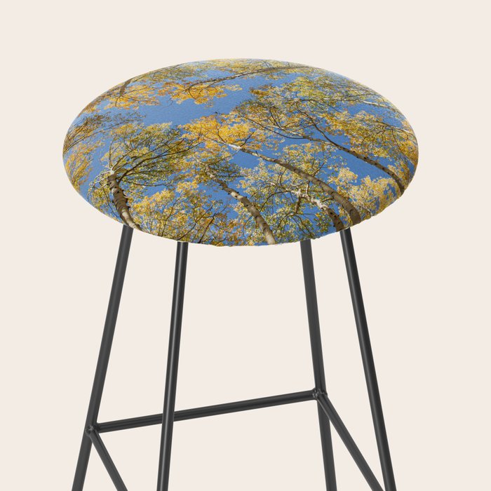 A Walk Among Aspens II Stool Gallery Image 2