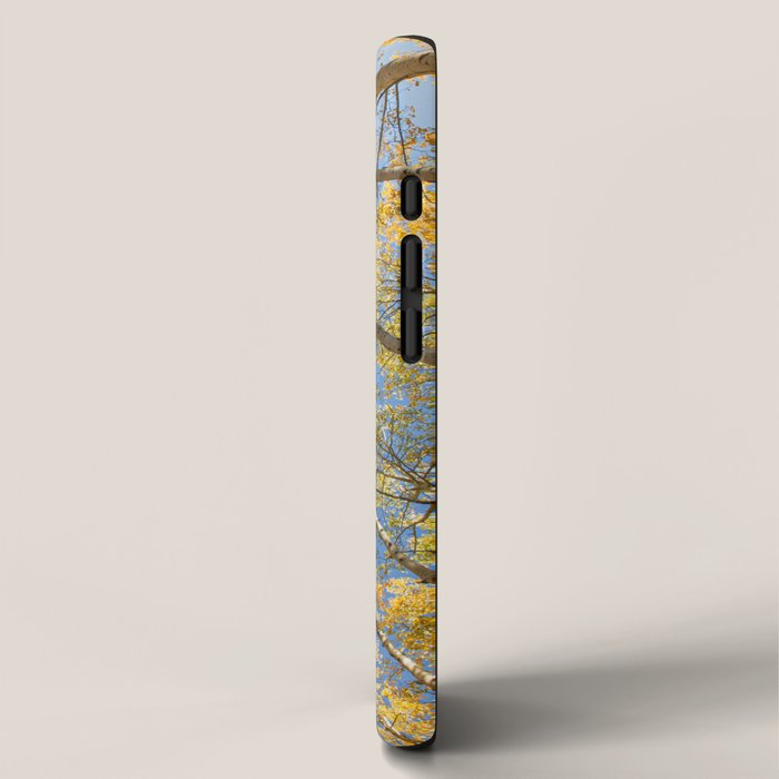 A Walk Among Aspens II iPhone Case Gallery Image 2