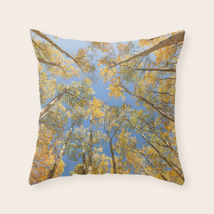 A Walk Among Aspens II Throw Pillow Gallery Image 6