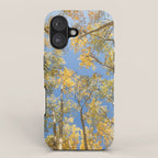 A Walk Among Aspens II iPhone Case Gallery Image 1