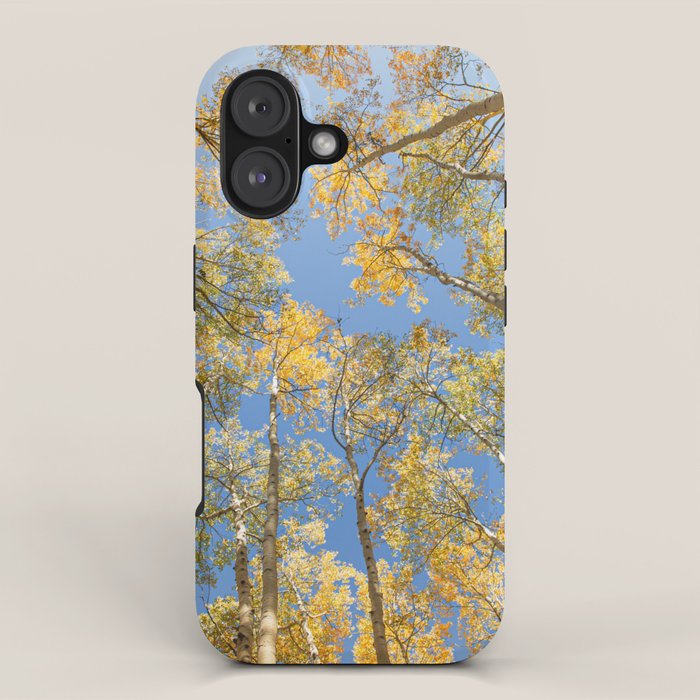 A Walk Among Aspens II iPhone Case Gallery Image 1