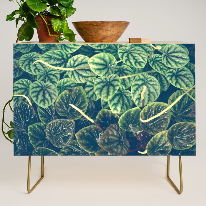 Green Leaves Credenza Gallery Image 1
