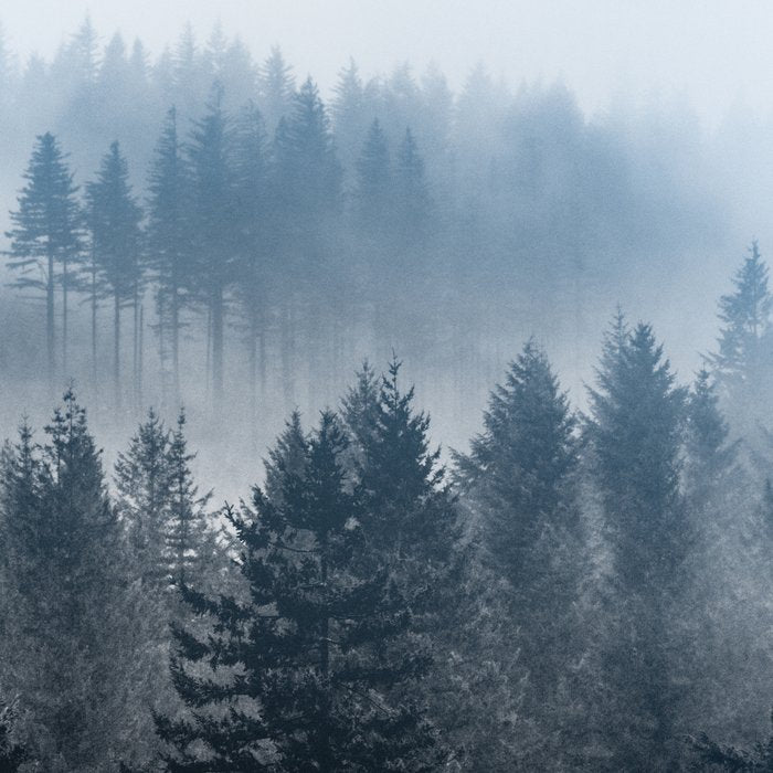 Forest Fog Mountain - Wanderlust Nature Photography Coffee Mug Gallery Image 2