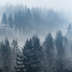 Forest Fog Mountain - Wanderlust Nature Photography Coffee Mug Gallery Image 2