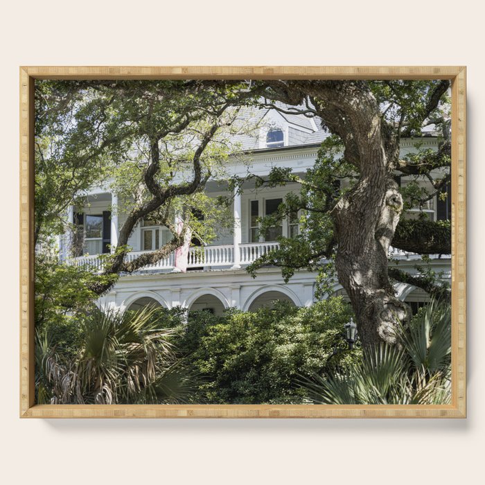 Under the Oaks x Charleston South Carolina Photography Serving Tray Gallery Image 1
