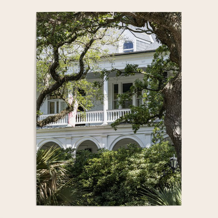 Under the Oaks x Charleston South Carolina Photography Poster Gallery Image 1
