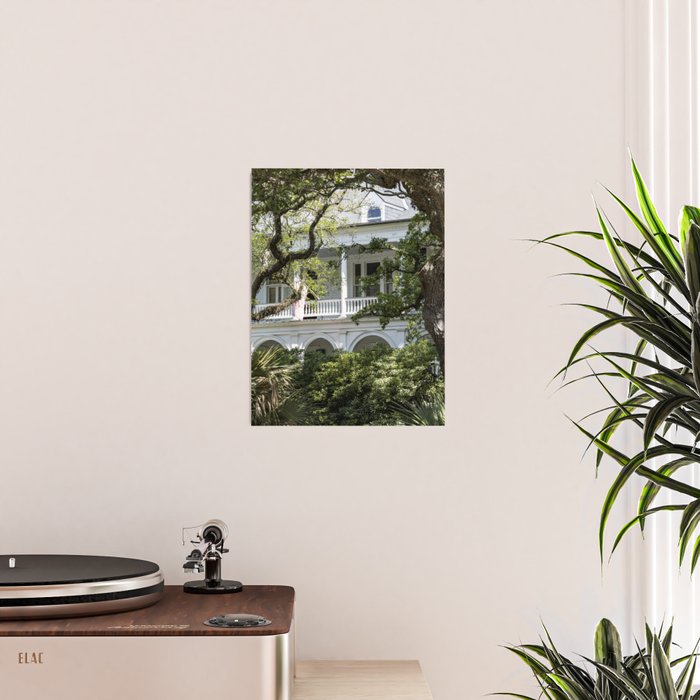 Under the Oaks x Charleston South Carolina Photography Poster Gallery Image 2