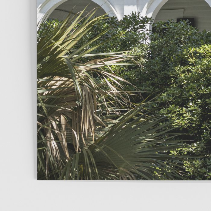 Under the Oaks x Charleston South Carolina Photography Poster Gallery Image 3