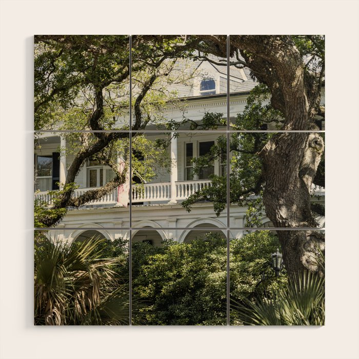 Under the Oaks x Charleston South Carolina Photography Wood Wall Art Gallery Image 1