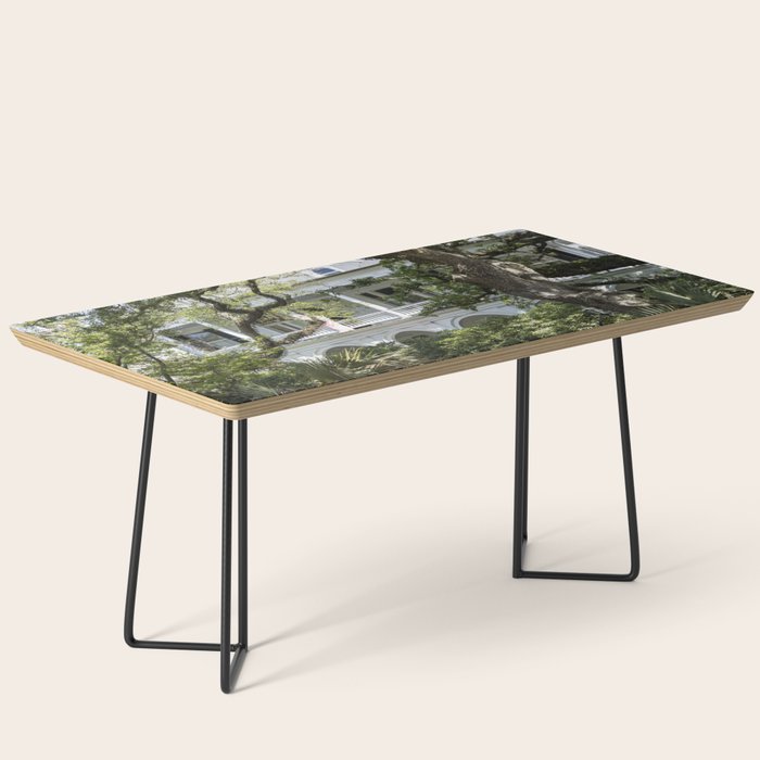 Under the Oaks x Charleston South Carolina Photography Coffee Table Gallery Image 1