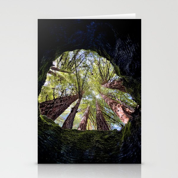 Telescope of Time (benefitting The Nature Conservancy)  Stationery Card Gallery Image 2