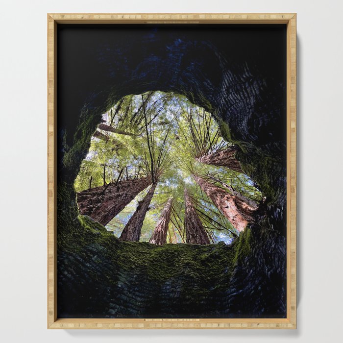 Telescope of Time (benefitting The Nature Conservancy)  Serving Tray Gallery Image 1