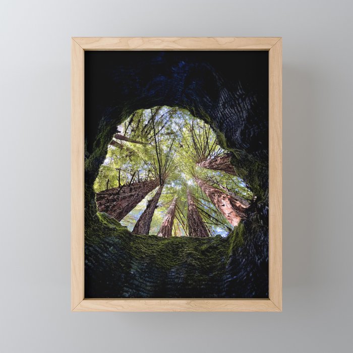 Telescope of Time (benefitting The Nature Conservancy)  Mini Art Print Gallery Image 1
