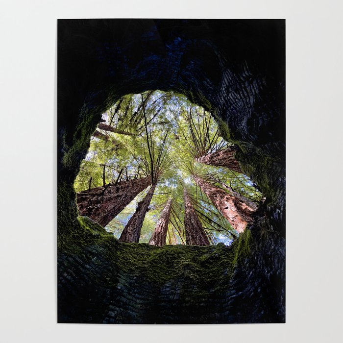 Telescope of Time (benefitting The Nature Conservancy)  Poster Gallery Image 4