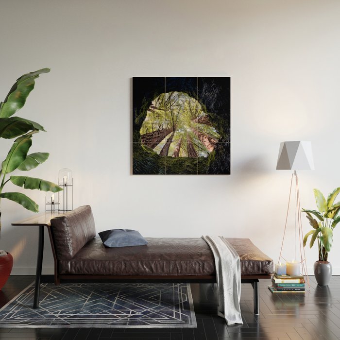 Telescope of Time (benefitting The Nature Conservancy)  Wood Wall Art Gallery Image 2
