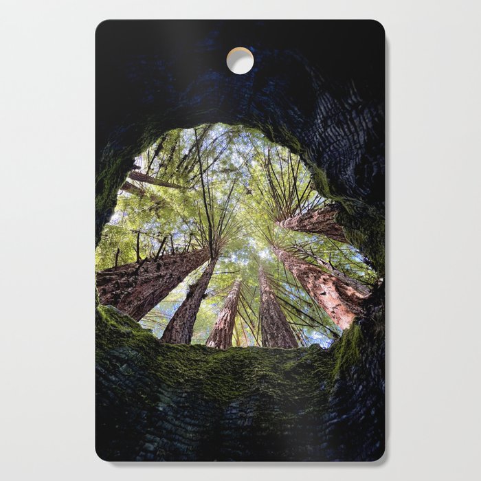 Telescope of Time (benefitting The Nature Conservancy)  Cutting Board Gallery Image 1